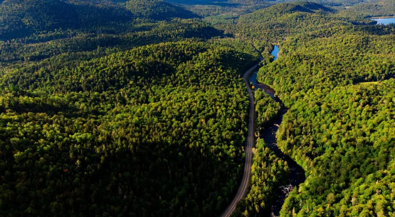 Road through forest in the Adironrack Mountains
