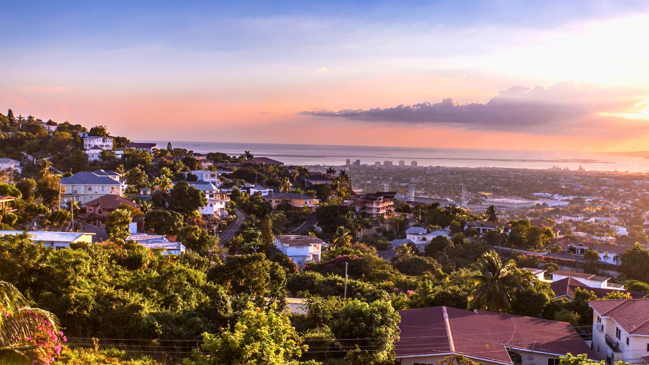 Kingston city hills in Jamaica sunset with flowers
